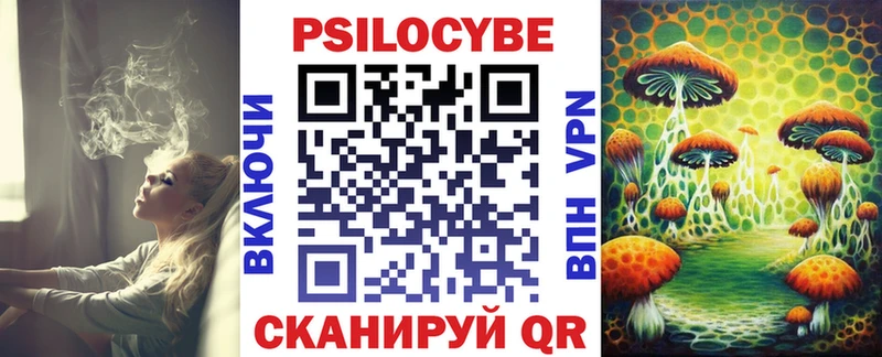Псилоцибиновые грибы GOLDEN TEACHER  Биробиджан 
