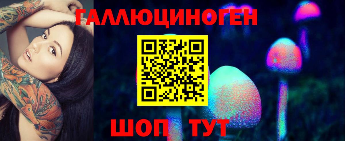 Псилоцибиновые грибы Psilocybine cubensis Биробиджан